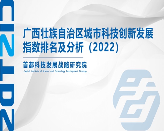 啊啊嗯嗯操逼视频【成果发布】广西壮族自治区城市科技创新发展指数排名及分析（2022）